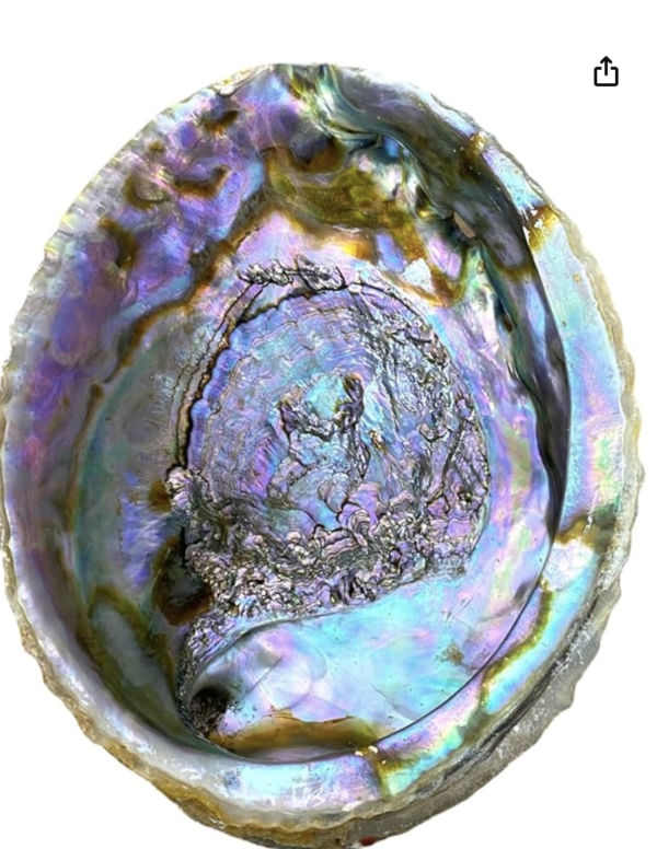 ABALONE SHELL Incense Burner small